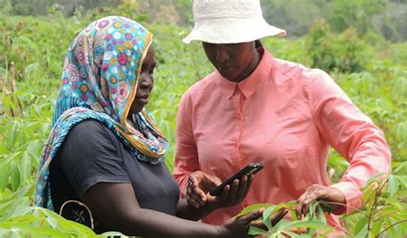 Digital Farming Solutions